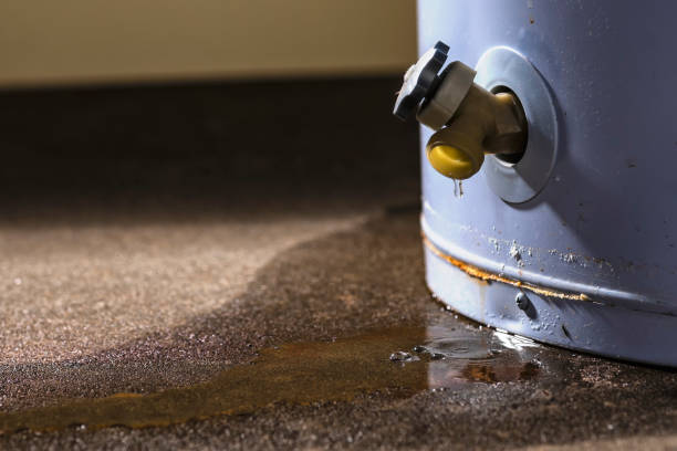 Carpet water damage restoration in Marianna, FL