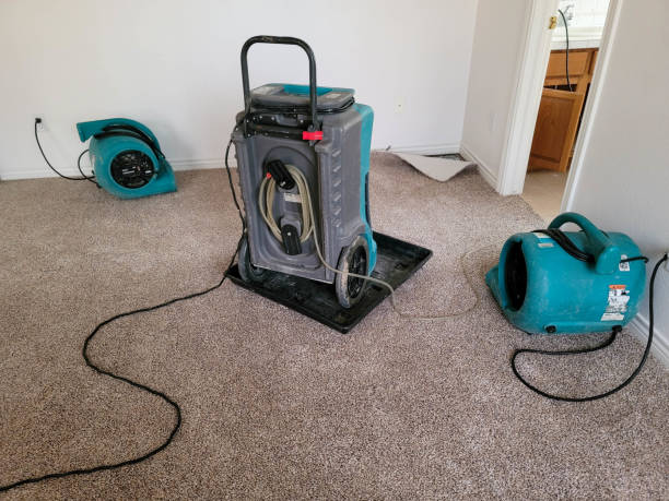 Best Fire Damage Restoration  in Marianna, FL
