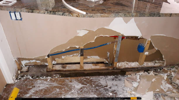 Best Sewage cleanup and water damage restoration  in Marianna, FL