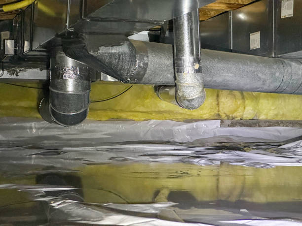 Best Professional water damage repair  in Marianna, FL
