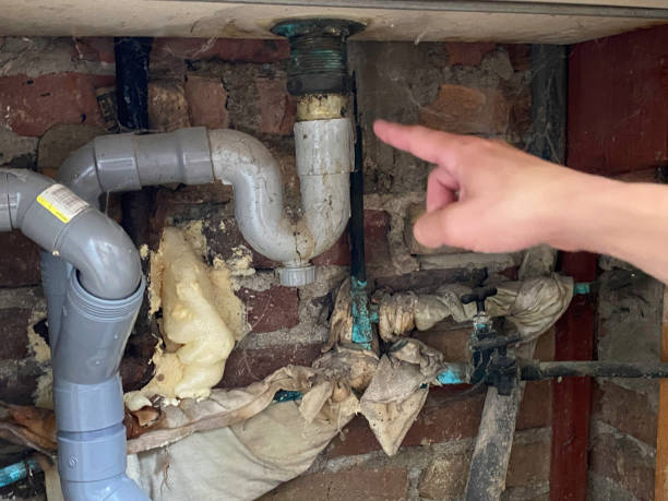 Best Water damage restoration near me  in Marianna, FL
