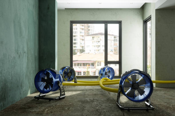 Best 24/7 water damage repair  in Marianna, FL